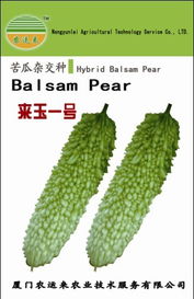 廈門農(nóng)運來農(nóng)業(yè)技術(shù)服務(wù) 農(nóng)作物種子與種苗產(chǎn)品列表——水果種植篇